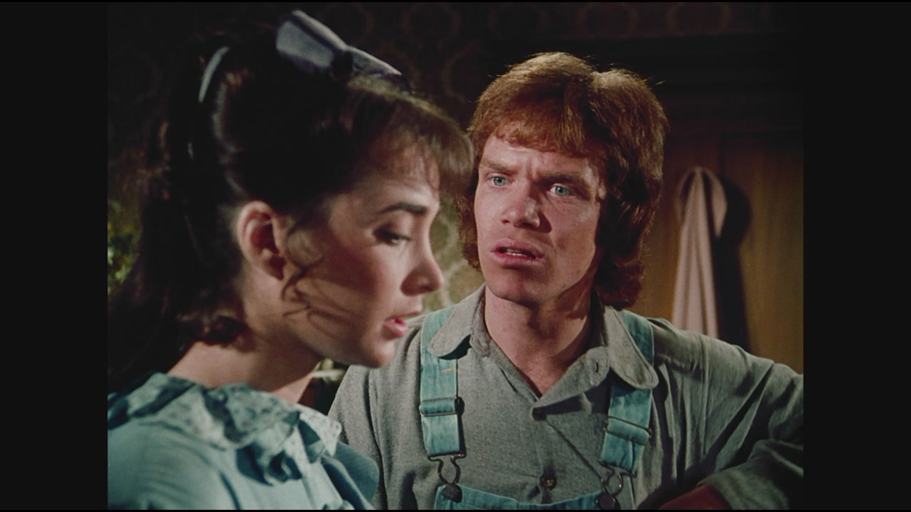 La casa nella prateria - Avventura in paese