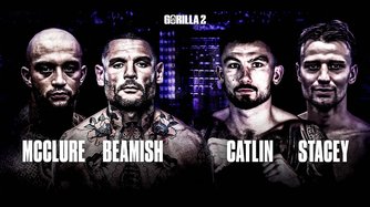 Gorilla 2: Birmingham