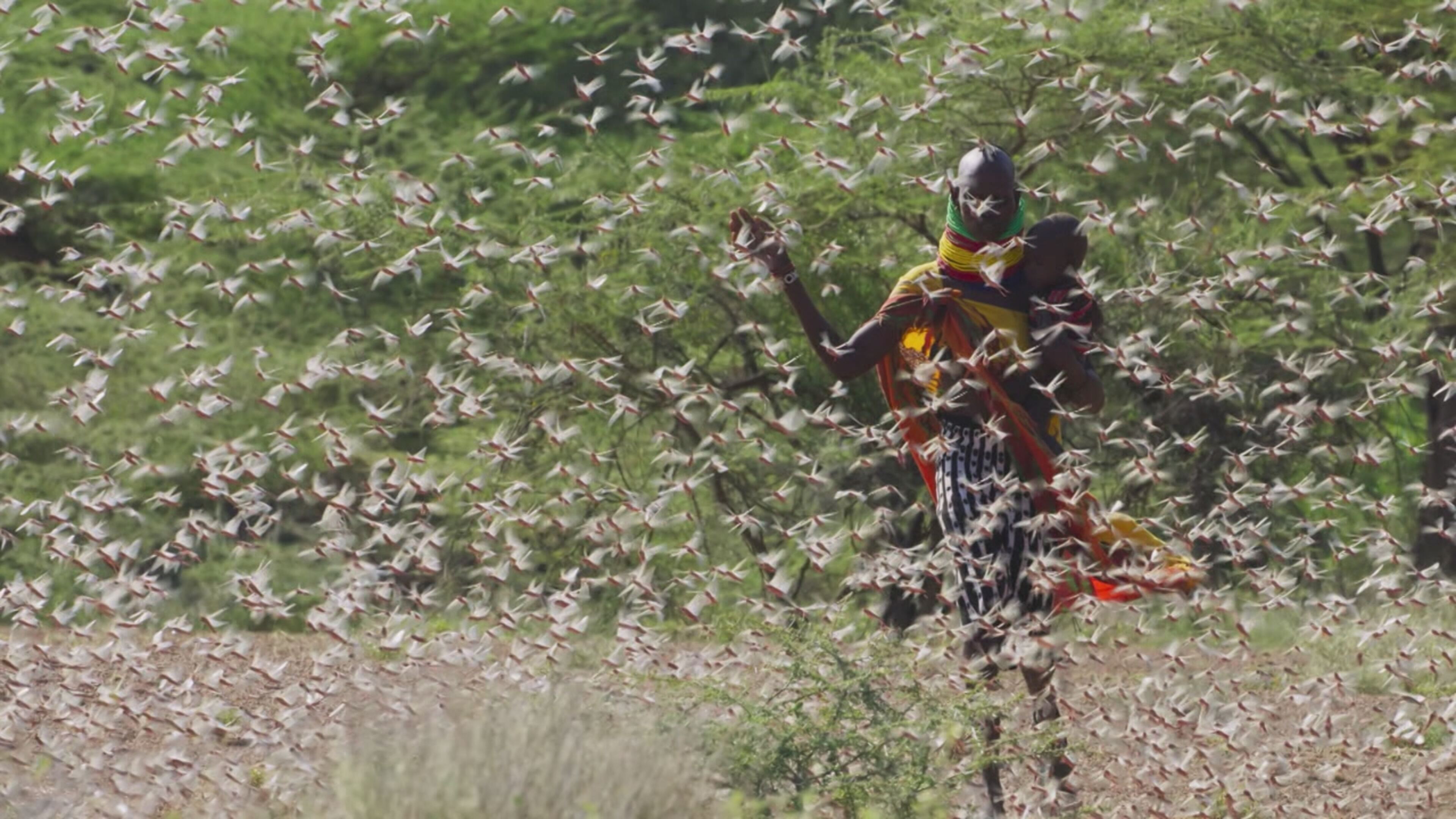 Planet Earth III - Le meraviglie della natura - S3 Ep7 Umani