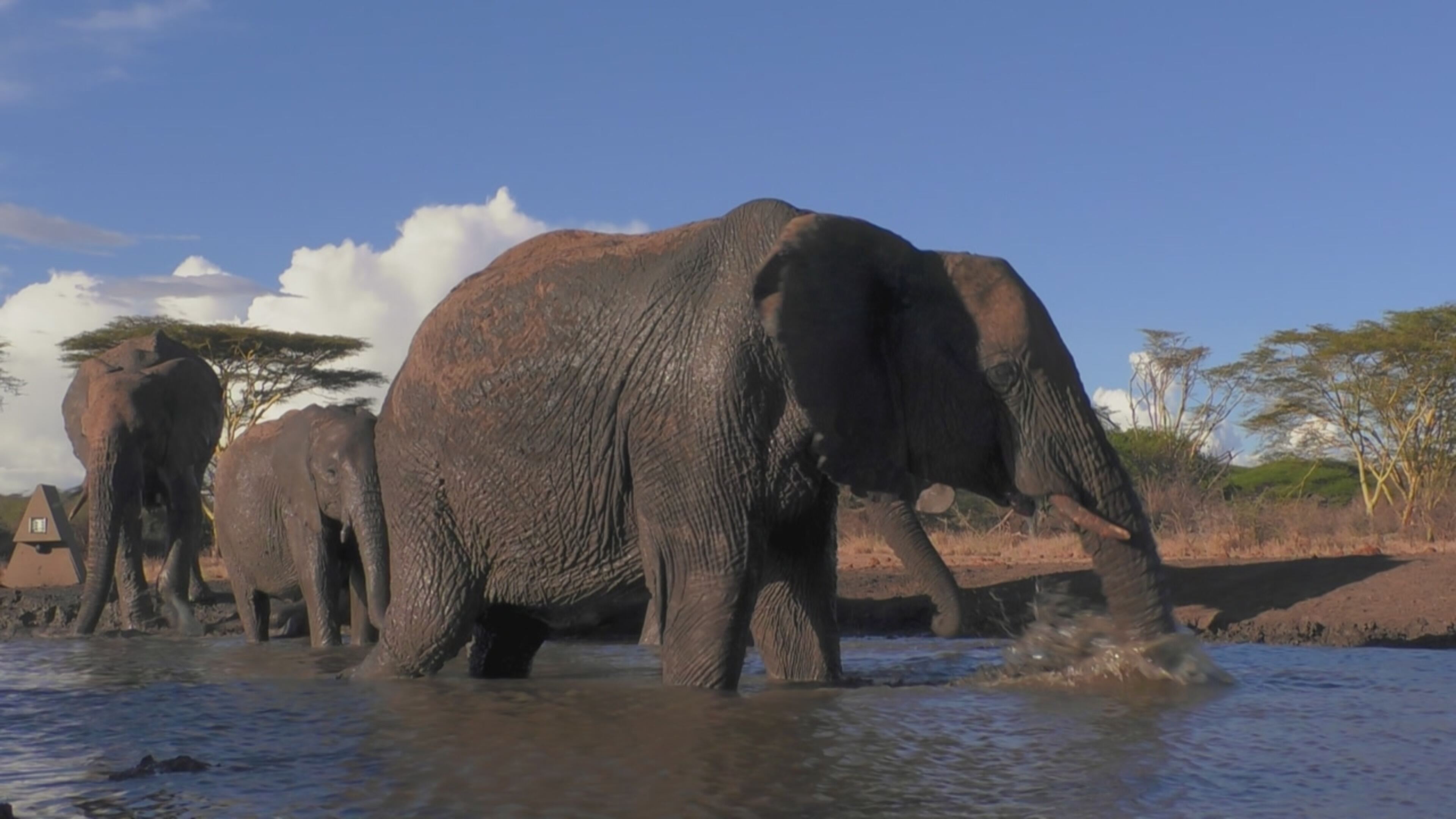 Oasi africane - S1 Ep2