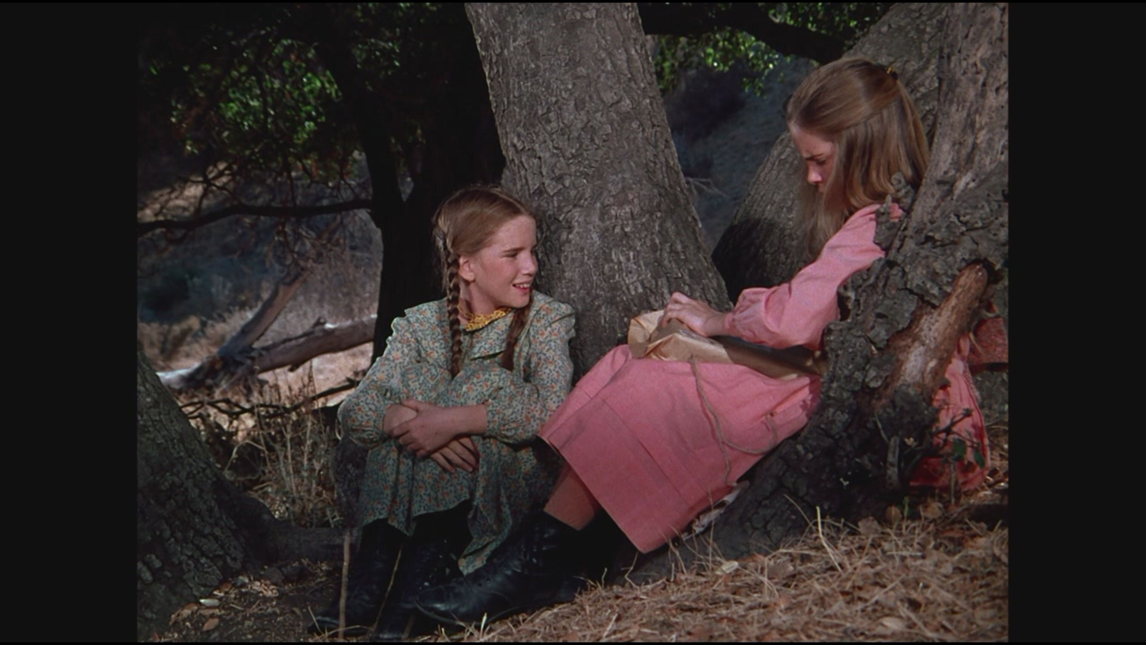 La casa nella prateria - Regalo