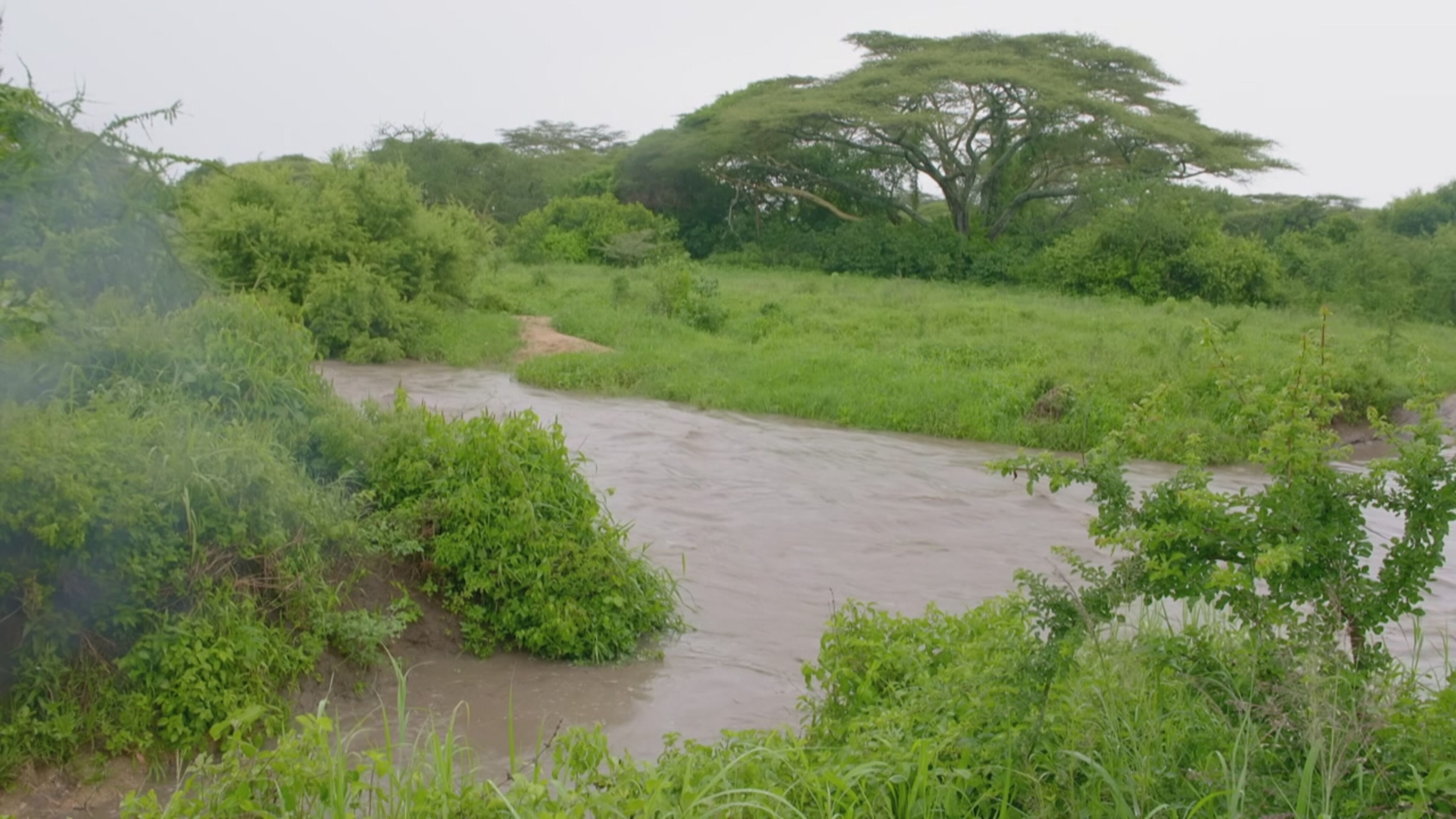 Oasi africane - S1 Ep3