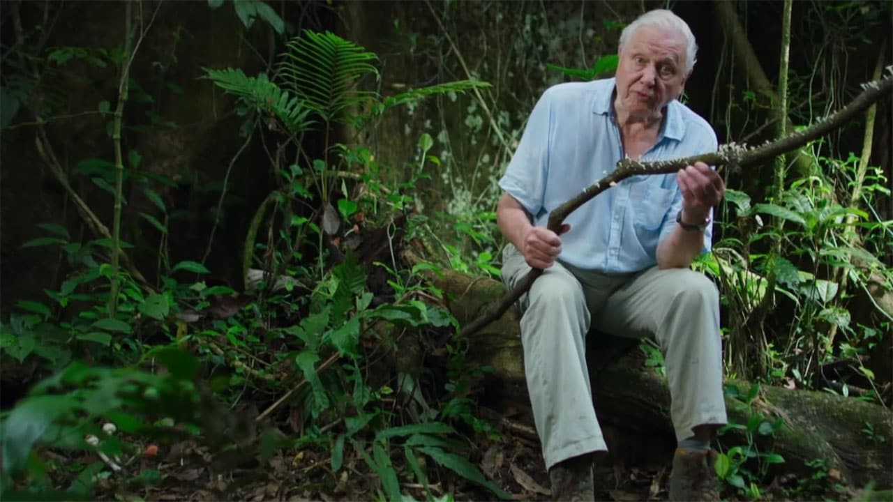 Il Pianeta Verde - S1E1 - Foreste tropicali