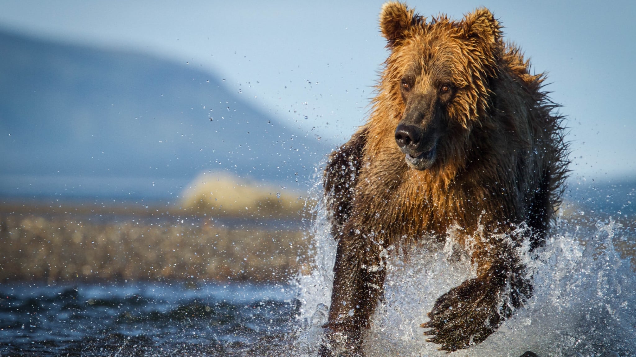 La caccia Ep. 6 - Cogli l'attimo