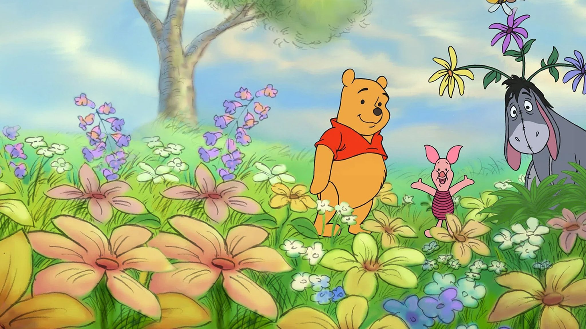 Winnie The Pooh - Ro e la magia della pr