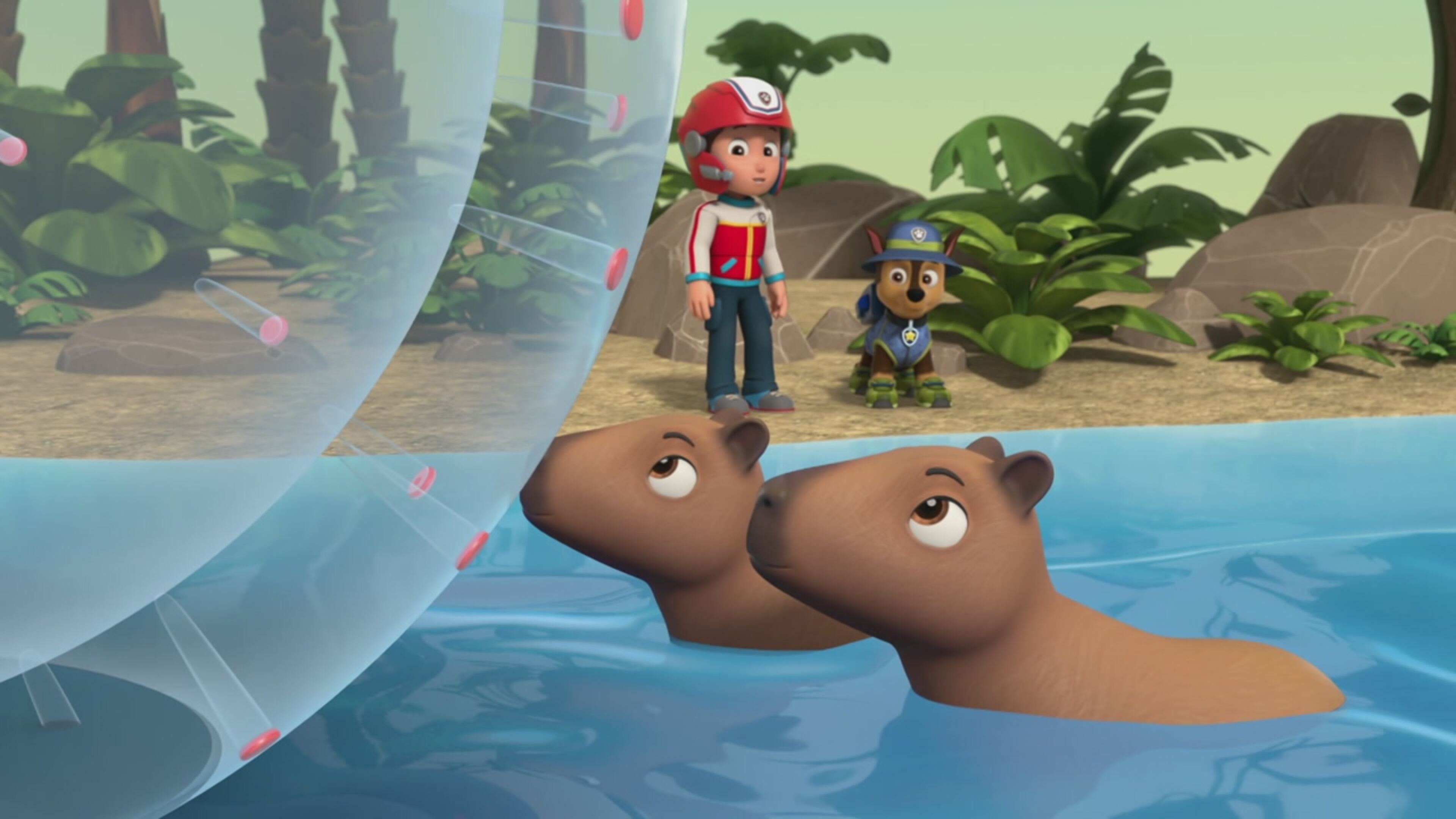 Paw Patrol - S10 Ep.20 - I cuccioli contro gli Hum-flettori/I cuccioli salvano un capibara