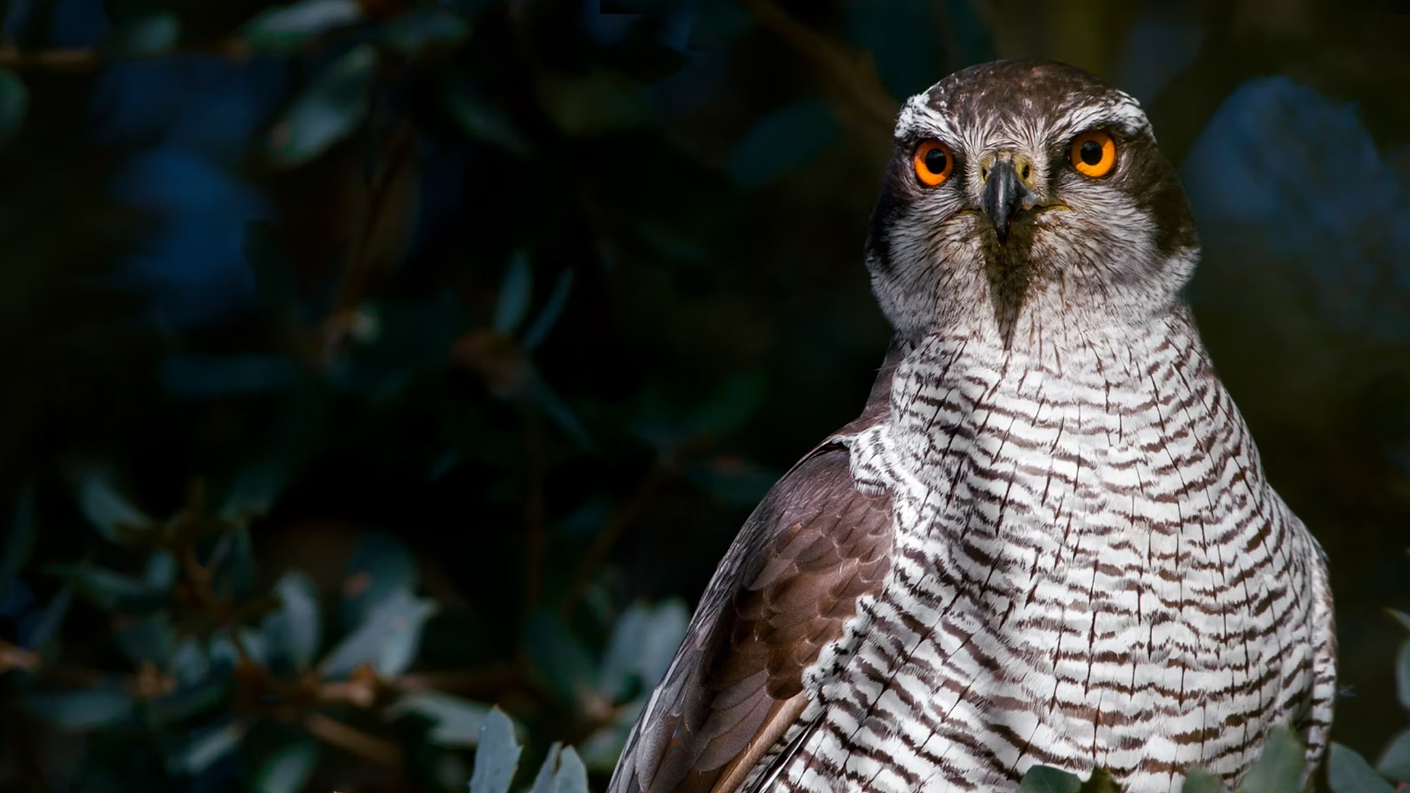 Cacciatori del Mediterraneo ep. 1