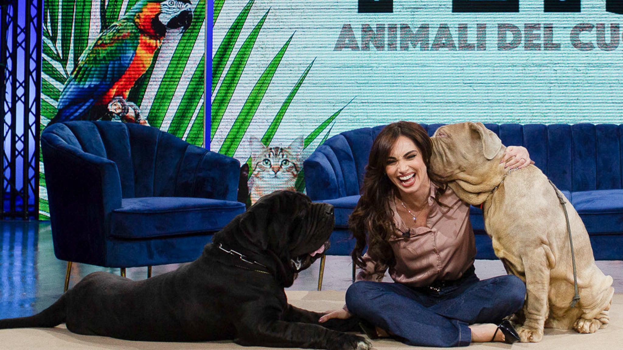 Pets - Animali del cuore