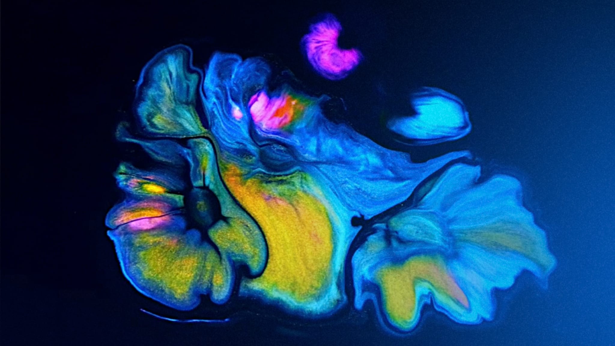 Poke Stories Puntata 4