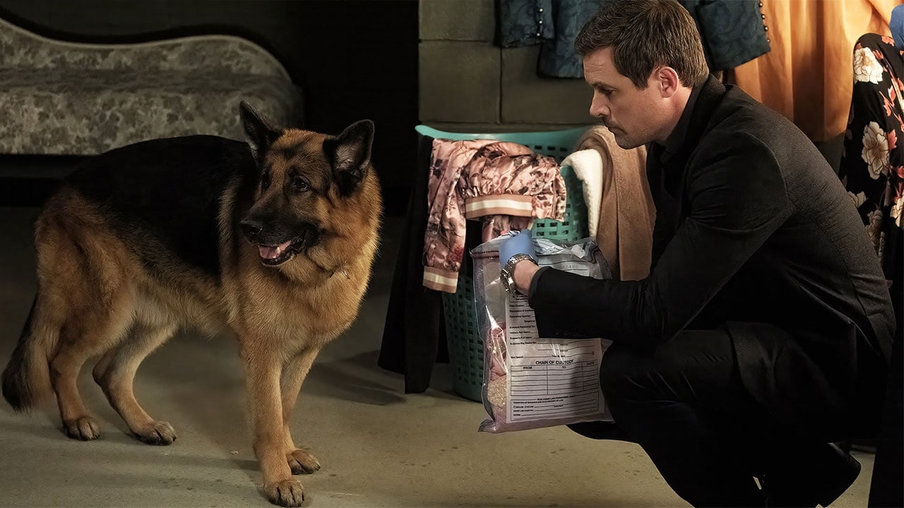 Hudson Rex - S5E14 - Rex sul palco