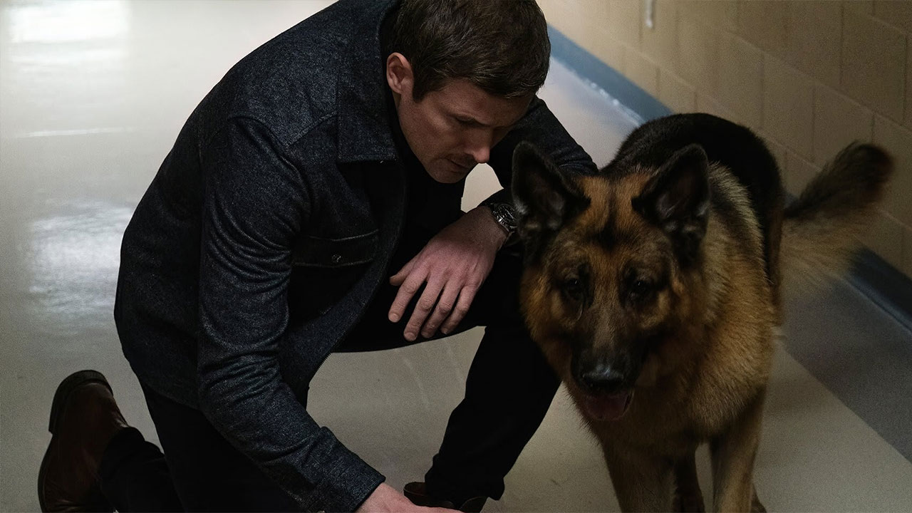 Hudson  Rex - S5E18 - Evasione