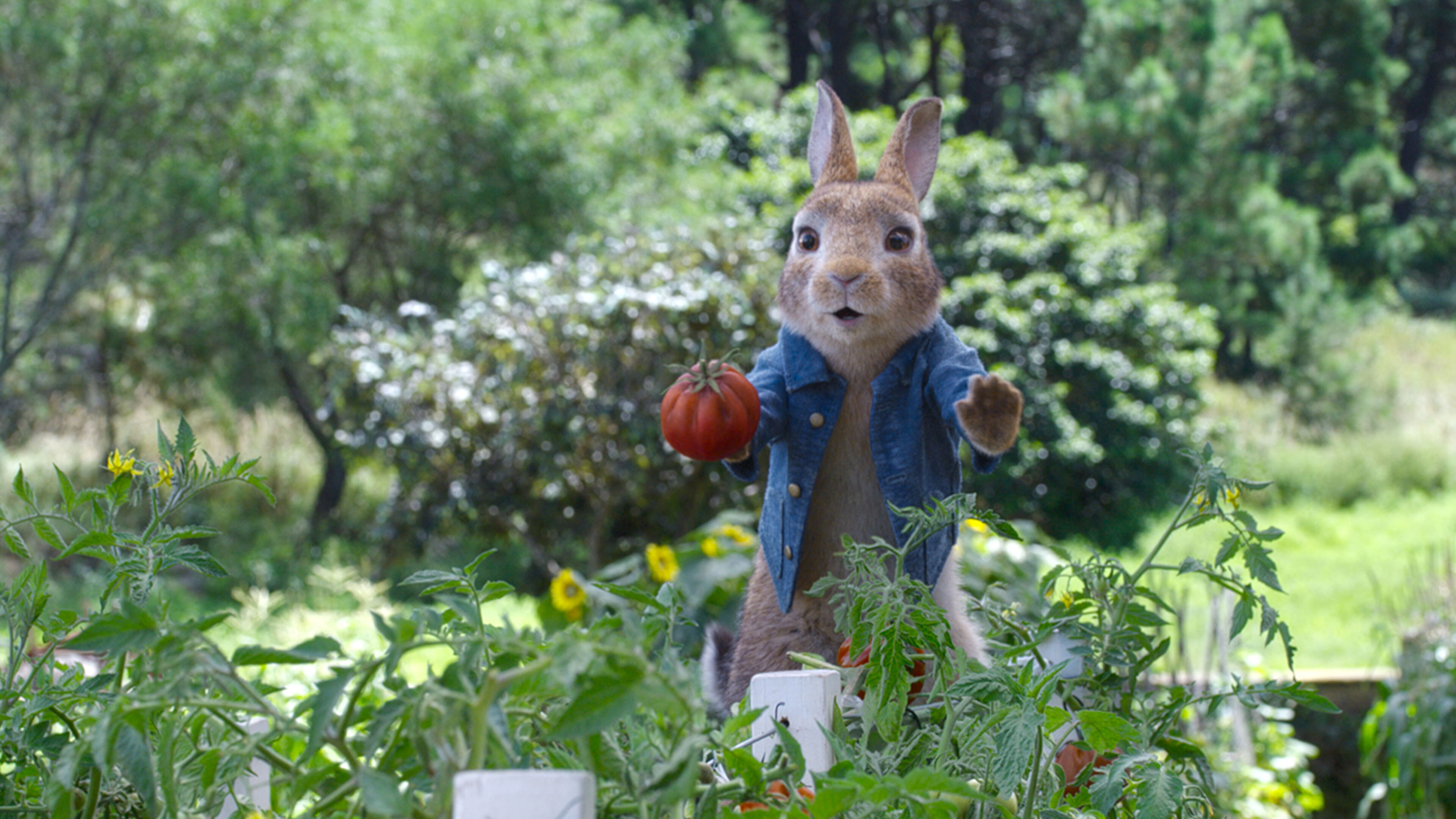 Peter Rabbit 2: un birbante in fuga - Peter Rabbit 2 - Un birbante in fuga