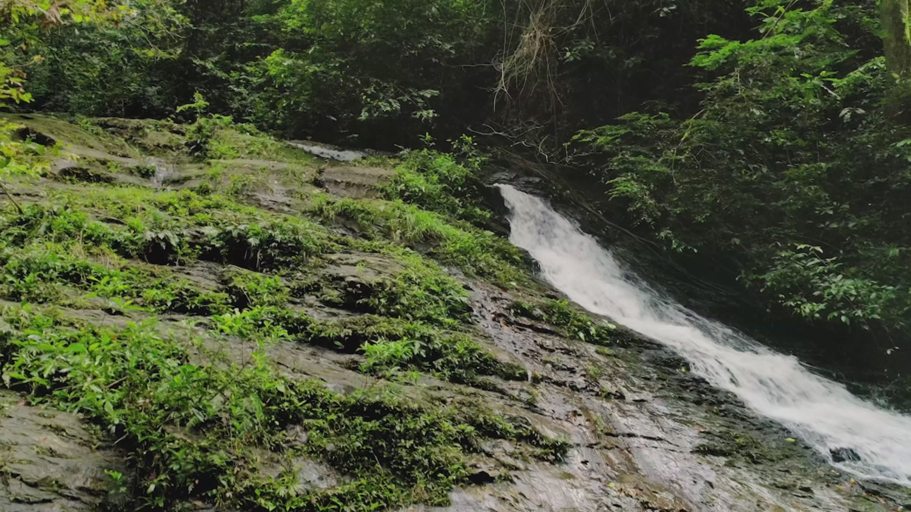 Steve Backshall: avventure intorno al mondo 2 - S2 Ep4 Esplorazione in Gabon