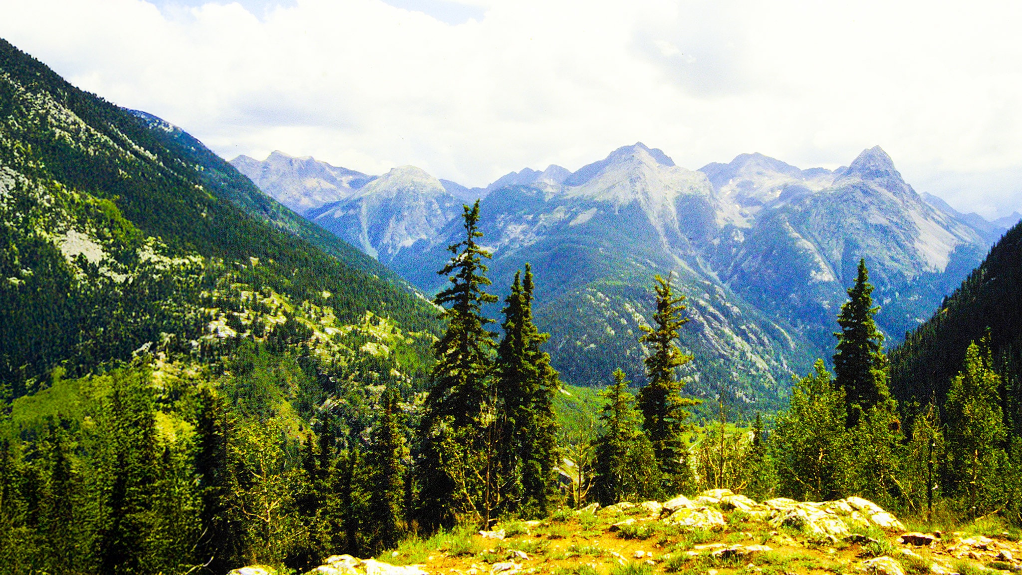 Evolution - Nati Sulle Montagne Rocciose - Primi passi