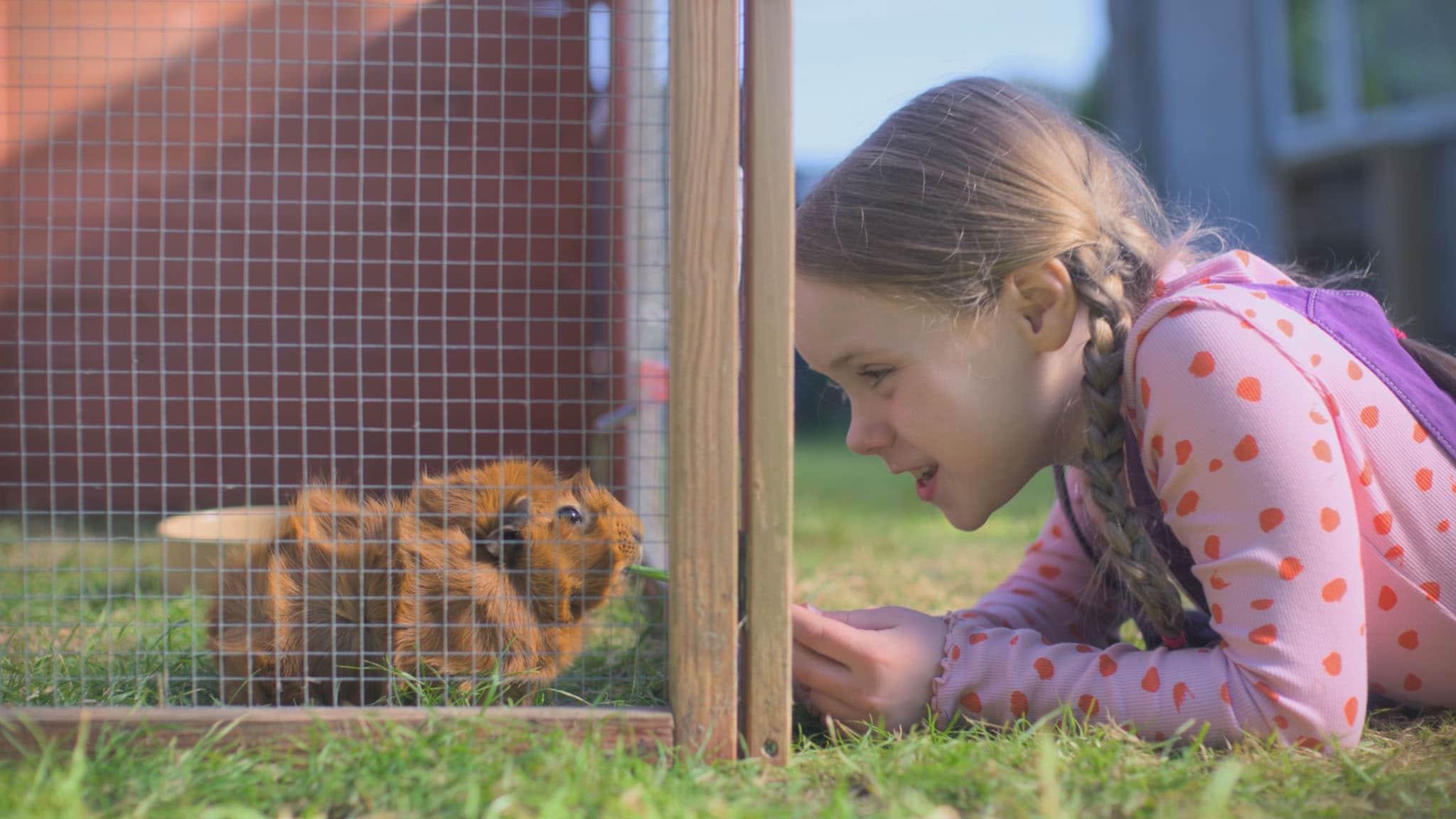 Olga da Polga - S1E25 - Si torna a scuola