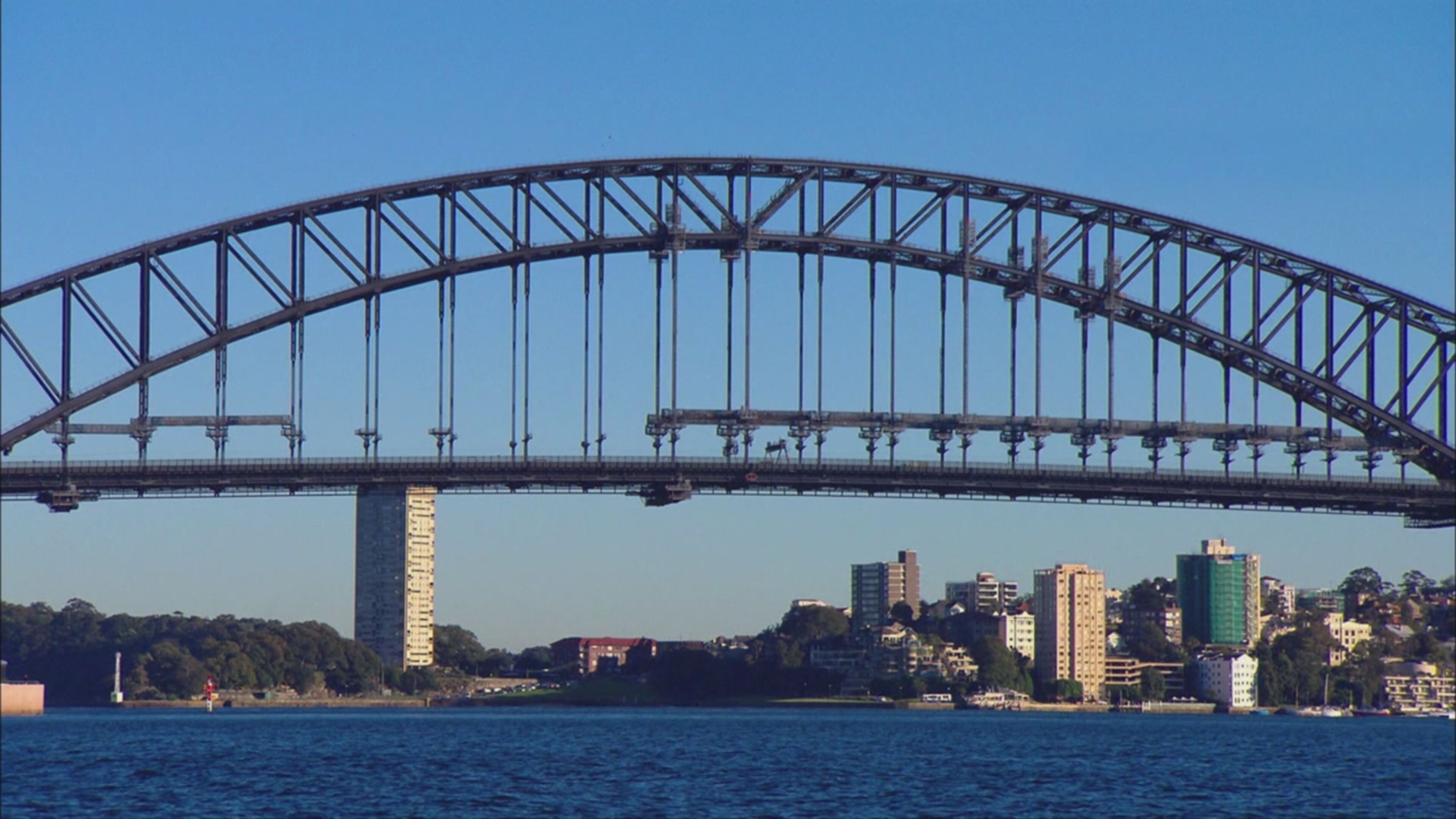 La terra dopo l'uomo - S2 Ep5