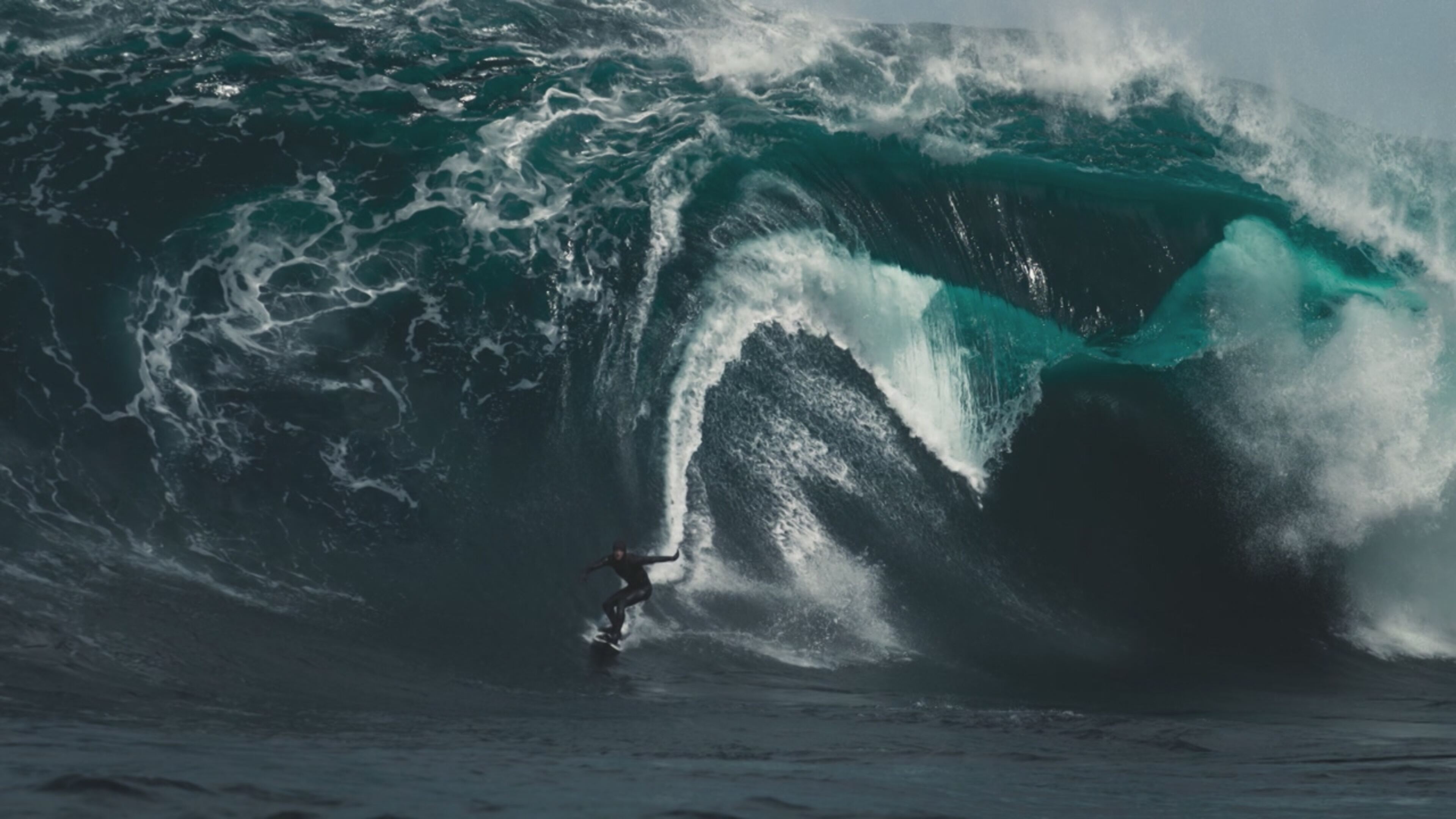 Planet Earth III - Le meraviglie della natura - S3 Ep1 Coste