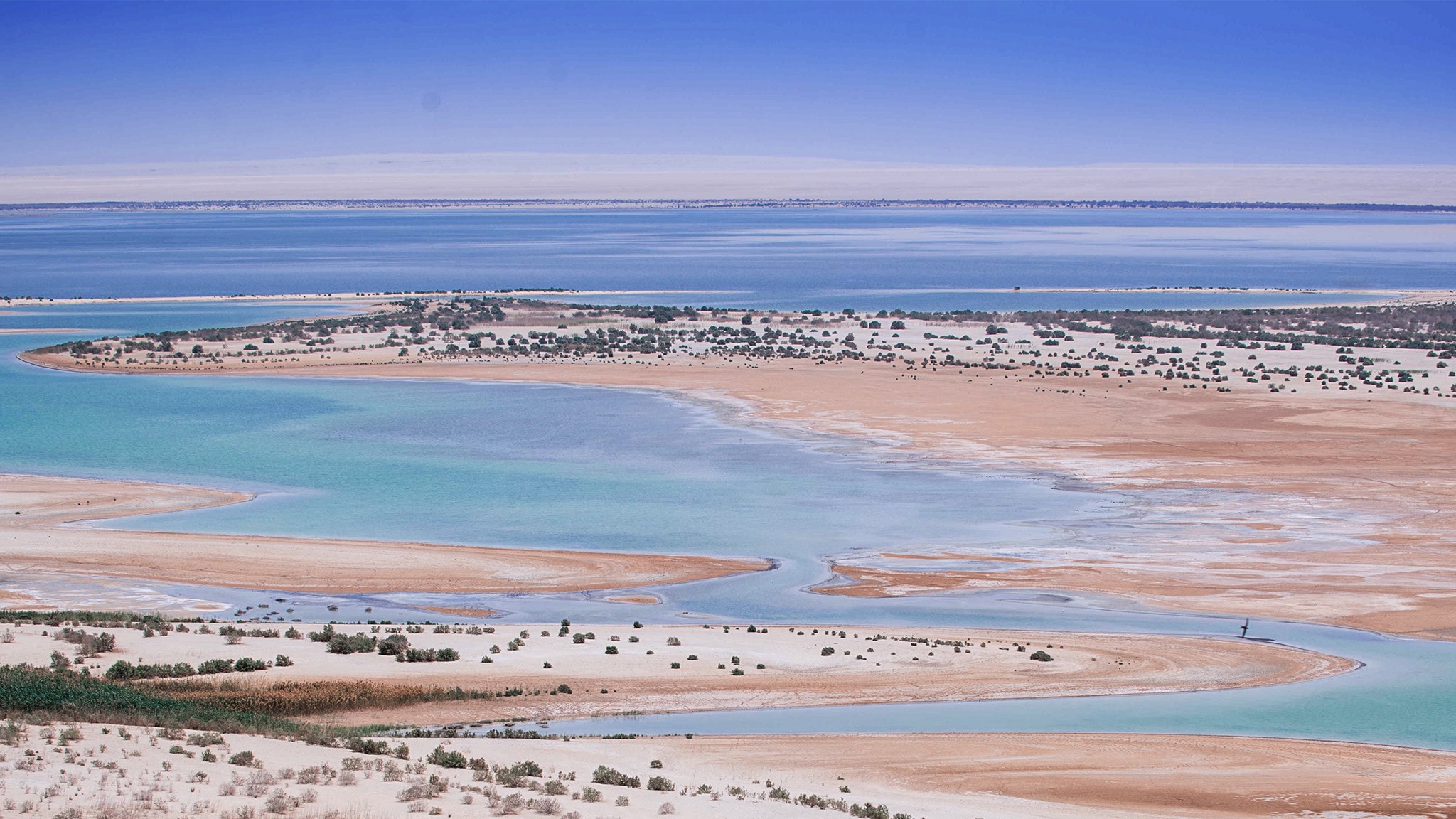 Evolution - La vita segreta dei laghi pt