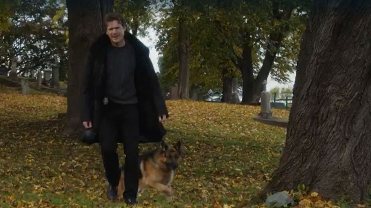 Hudson  Rex - S6E16 - Rex, Droga e Rock 'n'Roll