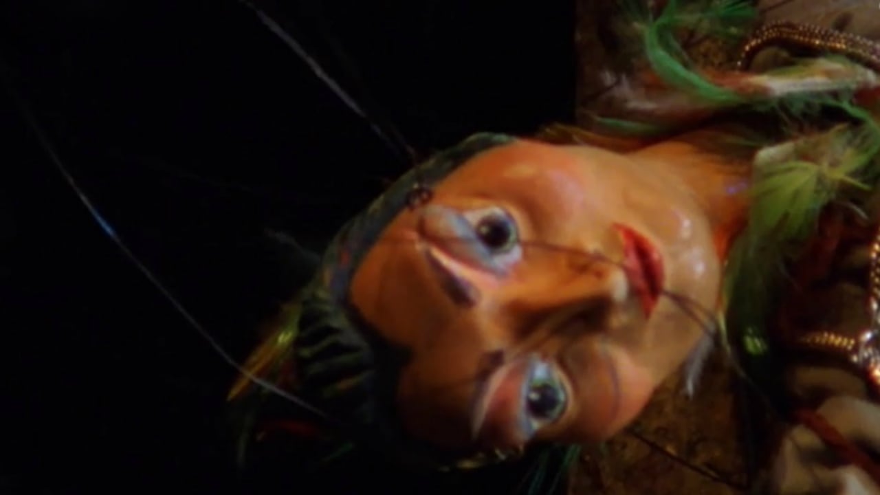 Il commissario Rex - S8E7 - I fiori della morte