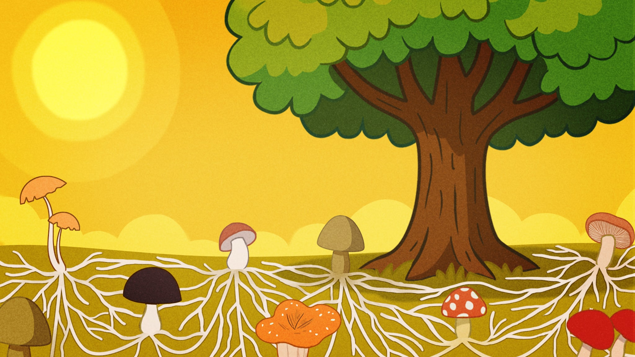 Buonanotte con Carolina - Storie e letterine - S1E22 - Le parole degli alberi