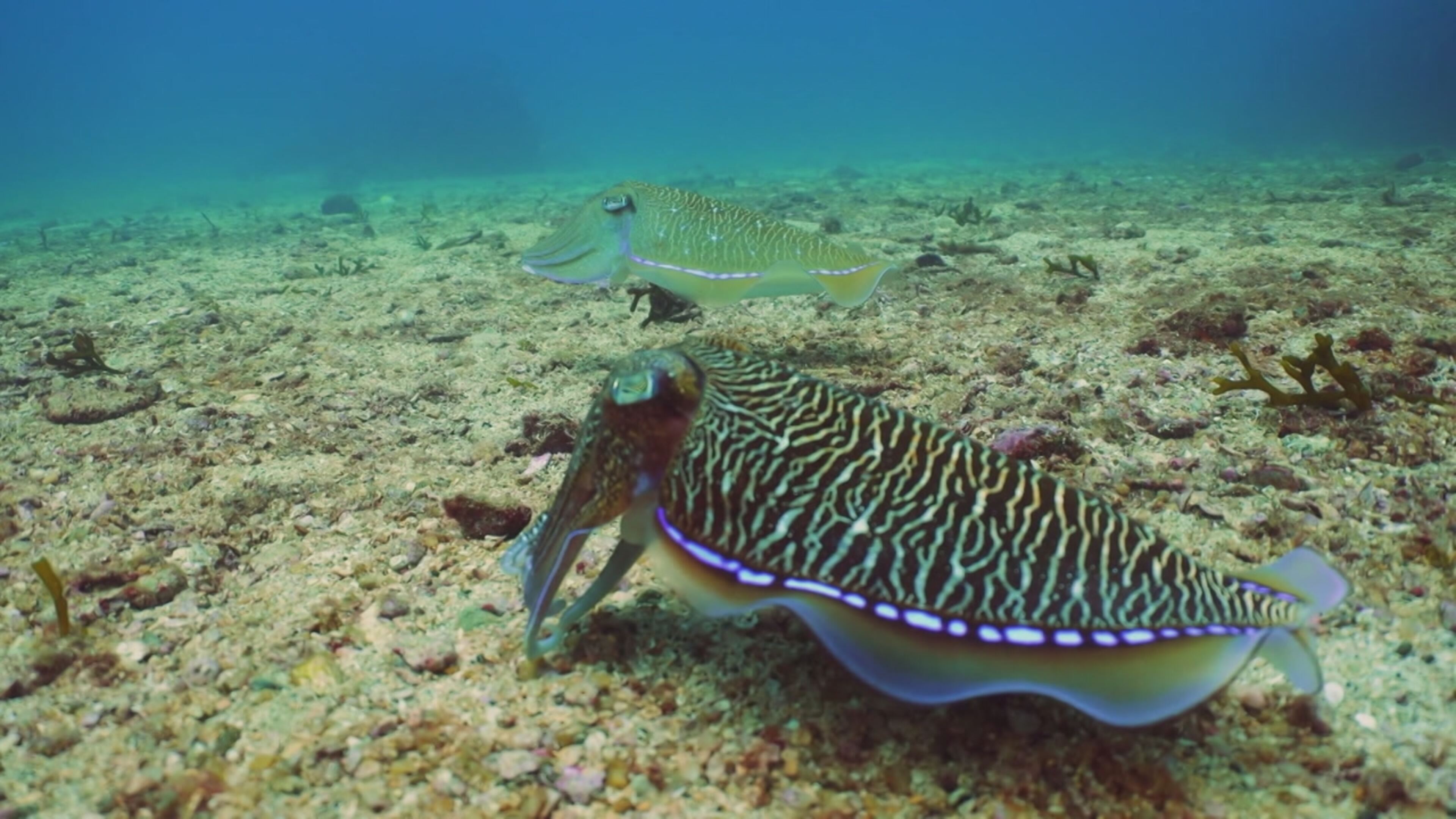 Visti dal cielo - Misteri di questo mondo 4 - S4 Ep7