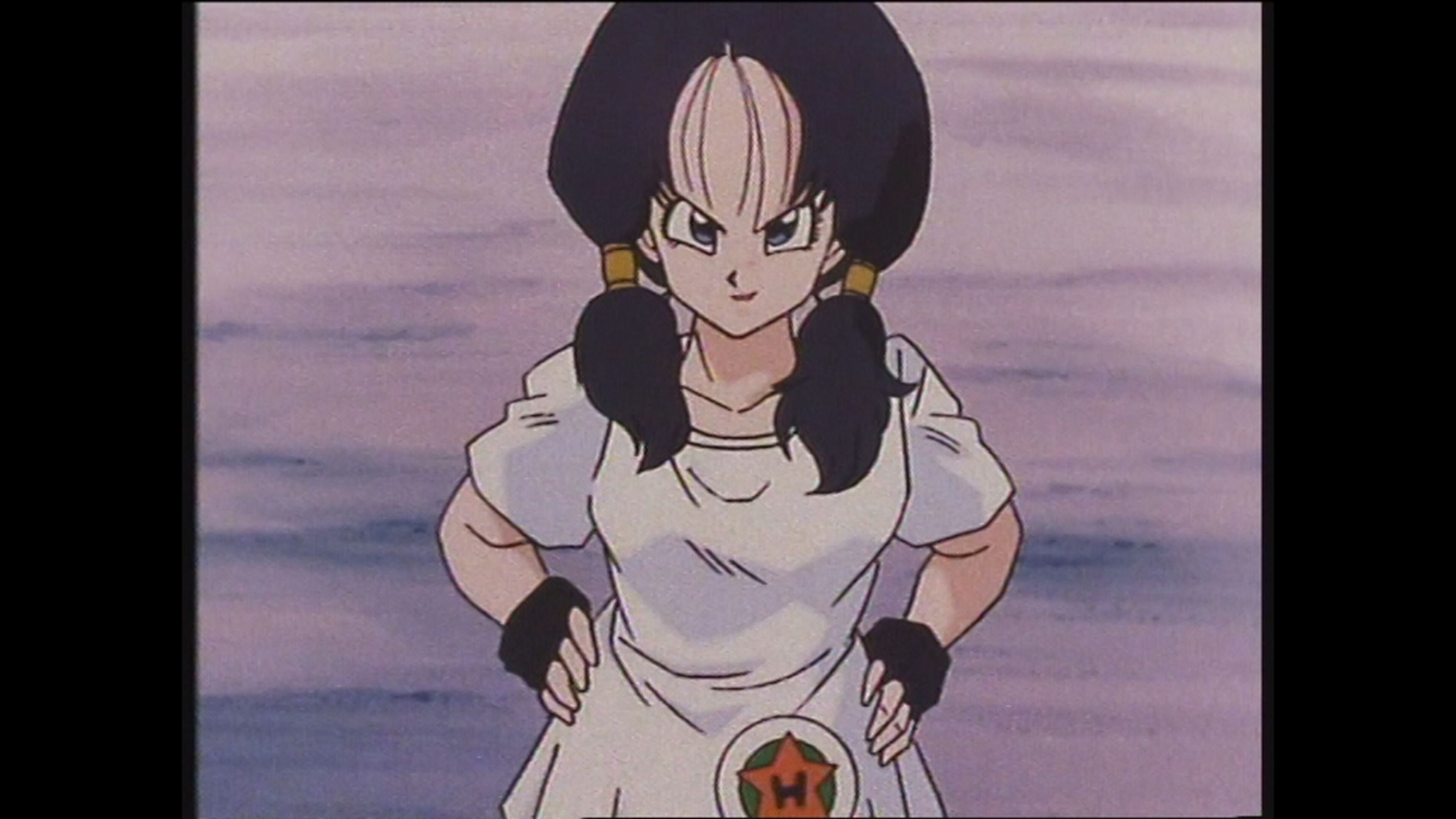 What's my Destiny Dragon Ball - S1 Ep47 Missione salvare Videl