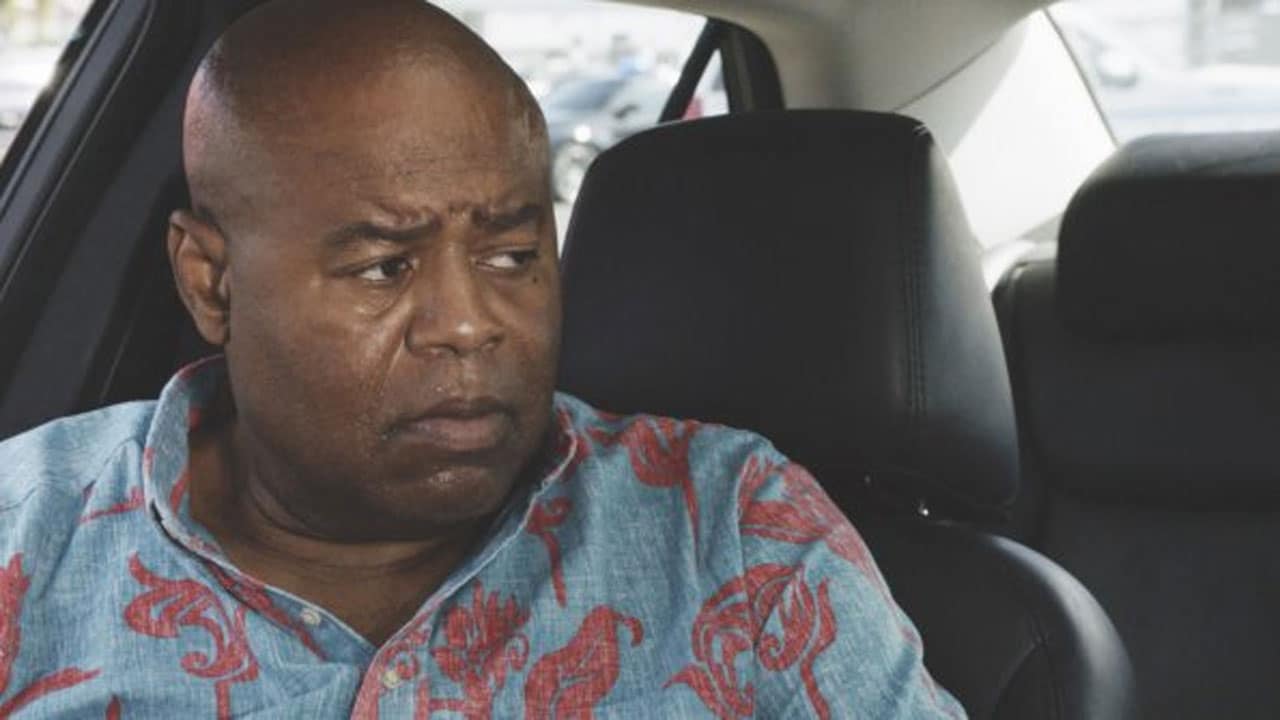 Hawaii Five 0 S8E13 - Presunto colpevole