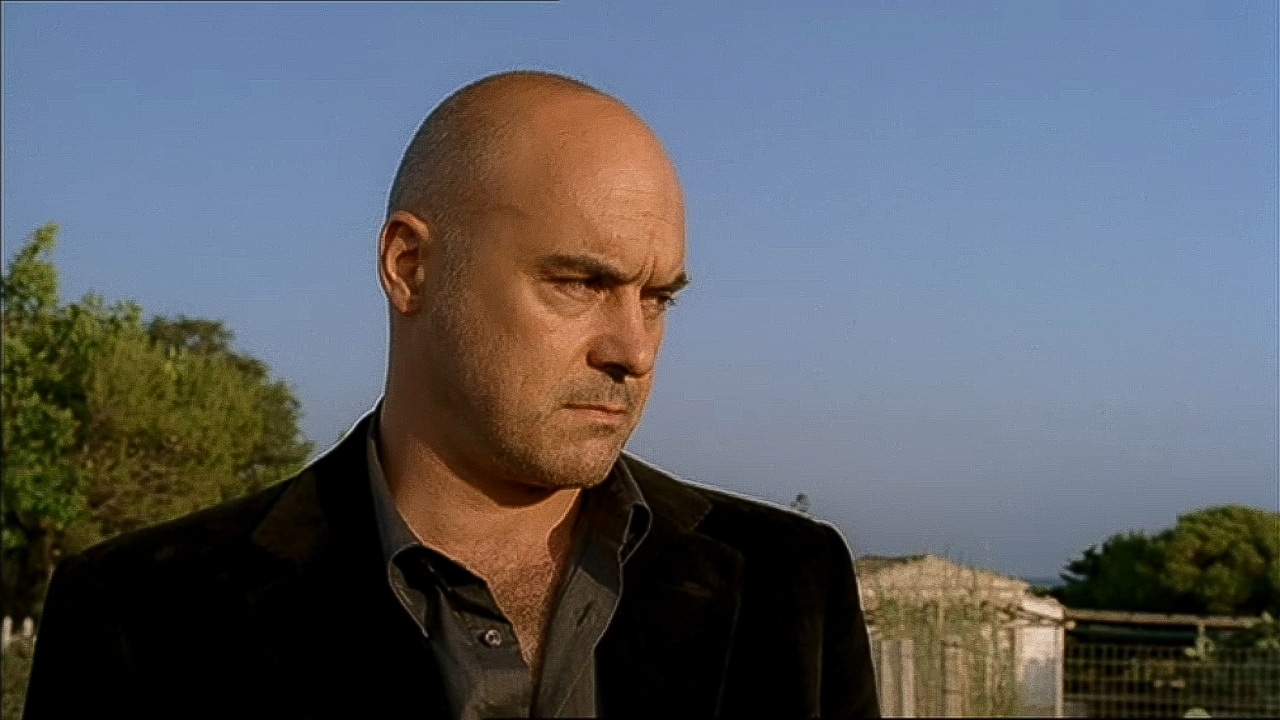 Il Commissario Montalbano - La pazienza del ragno