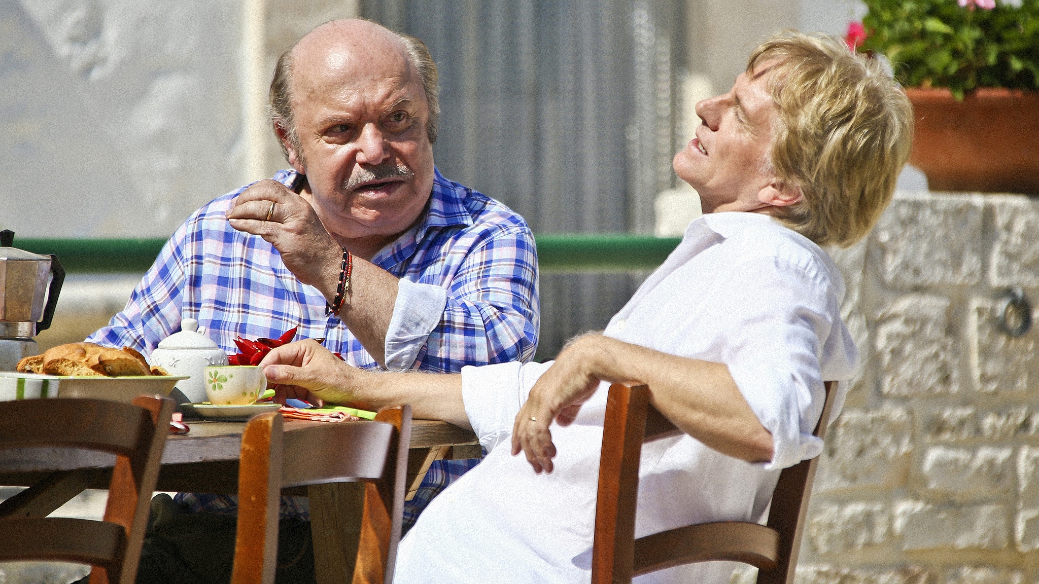 Un medico in famiglia 8 - La falsaria in