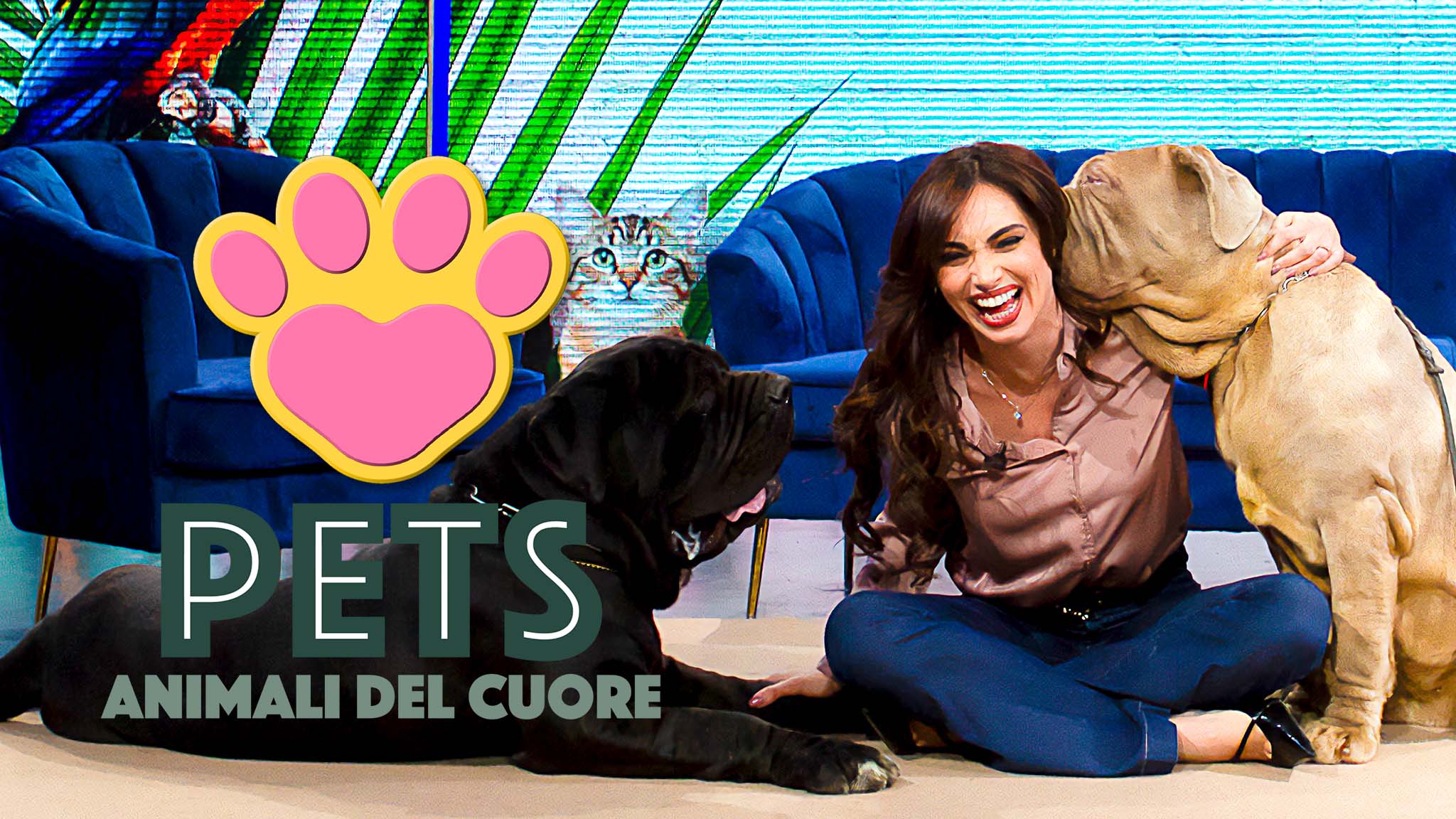 Pets - Animali del cuore - Puntata del 23/05/2026