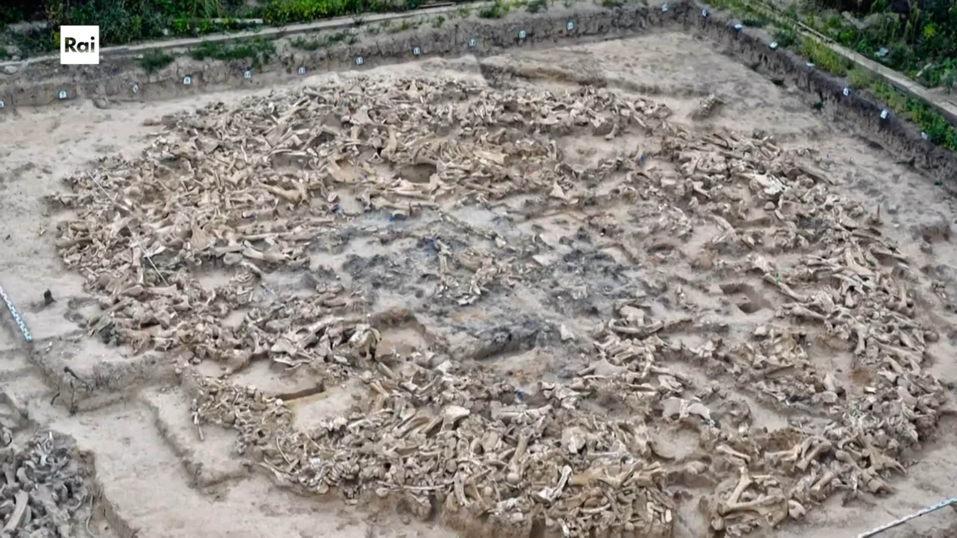Casa Sapiens. L'origine di tutto pt.8 - L’origine di tutto