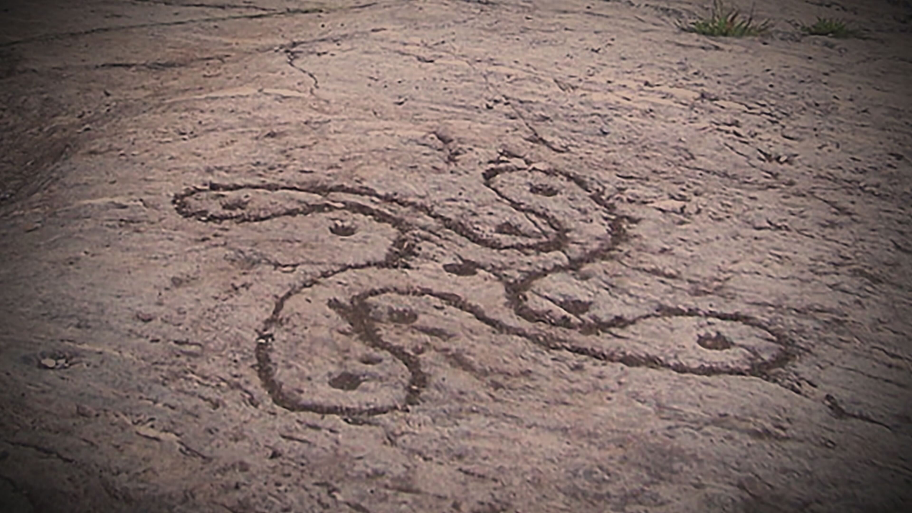Enigmi alieni 14 - S14 Ep17