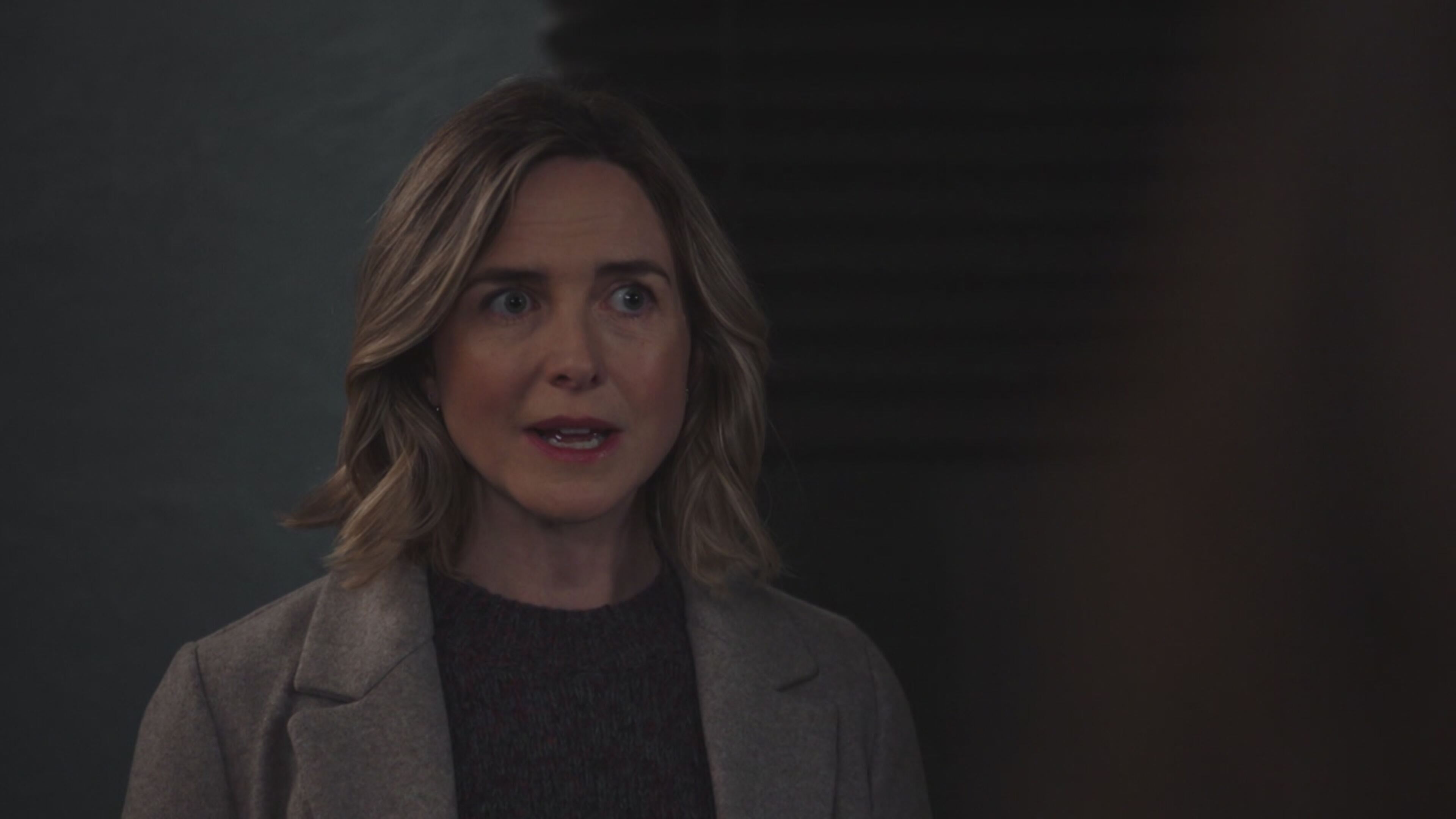 Law  Order: Unità Speciale 26 - S26 Ep15 Sotto la superficie