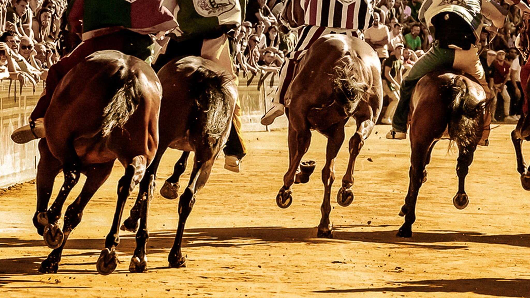 Speciale TGR - Il Palio dell'Assunta di Fermo 2026
